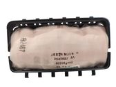 Beifahrerairbag
