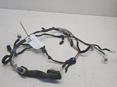 Cableado de puerta delantera