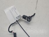 Rear door interior light