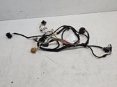 Front door wiring loom