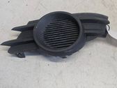 Front fog light trim/grill