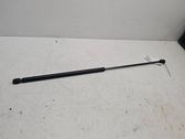 Front bonnet/hood damper/strut