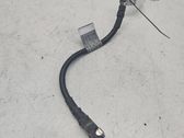 Negative earth cable (battery)