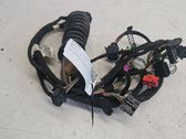 Front door wiring loom