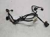 Other wiring loom