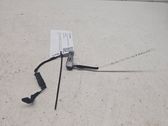 Rear door interior light