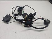 Other wiring loom