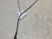 Rear door cable line