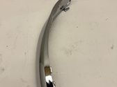 Front fog light trim/grill