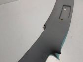 (C) pillar trim