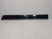 Rear door trim (molding)