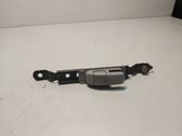 Seat belt adjustment rail