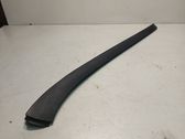 Windshield trim