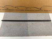 Rear door glass trim molding