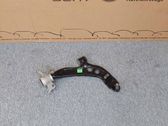 Front lower control arm/wishbone