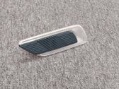 Front fender indicator light
