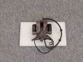 Bremssattel hinten