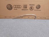 Rear door glass trim molding