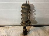 Front shock absorber/damper