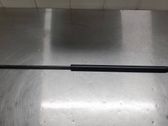 Tailgate/trunk strut/damper