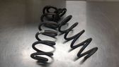 Rear coil spring