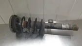Stoßdämpfer vorne