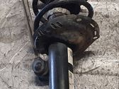 Front shock absorber/damper