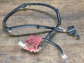 Positive wiring loom