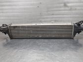 Intercooler radiator