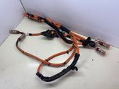 Other wiring loom