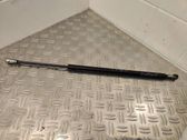 Tailgate/trunk strut/damper