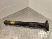 Rear shock absorber/damper