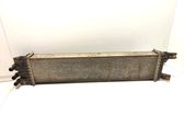 Intercooler radiator