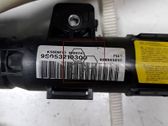 Airbag de toit