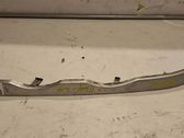 Under headlight/headlamp trim