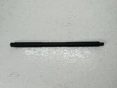 Tailgate/trunk strut/damper