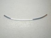 Front bumper support beam