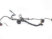 Front door wiring loom