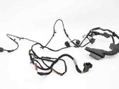 Front door wiring loom