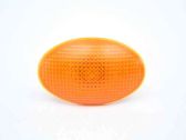 Front fender indicator light