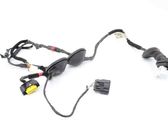 Rear door wiring loom