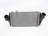 Radiador intercooler
