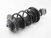 Front shock absorber/damper