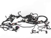Other wiring loom