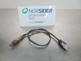 Sonde lambda