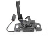 Tie down hook / loop
