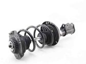 Front shock absorber/damper