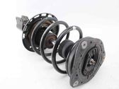 Front shock absorber/damper