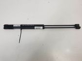 Tailgate/trunk strut/damper