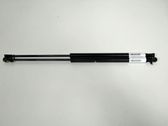 Tailgate/trunk strut/damper